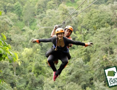 Canopy o tirolesa